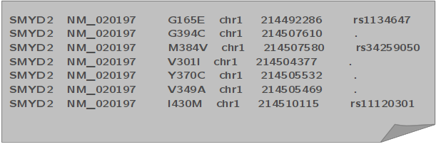 BALLformat SMYD2