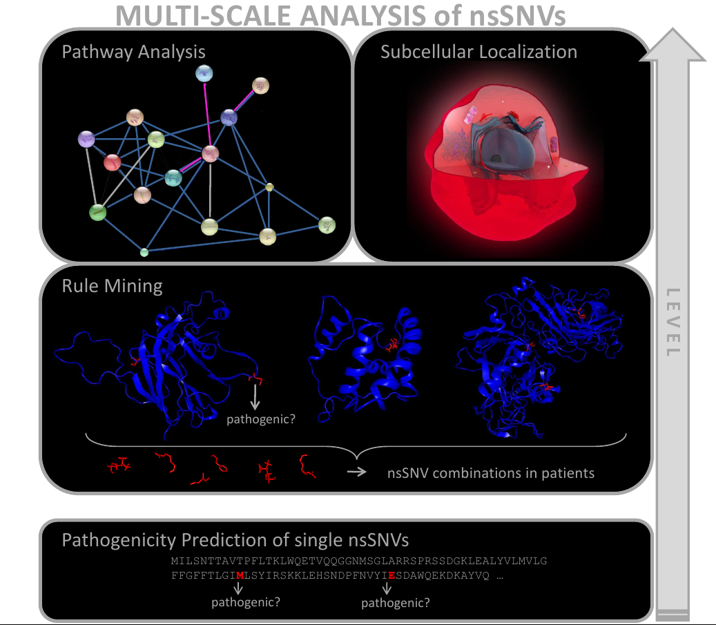 multi-scale analysis pipeline for nsSNV sets